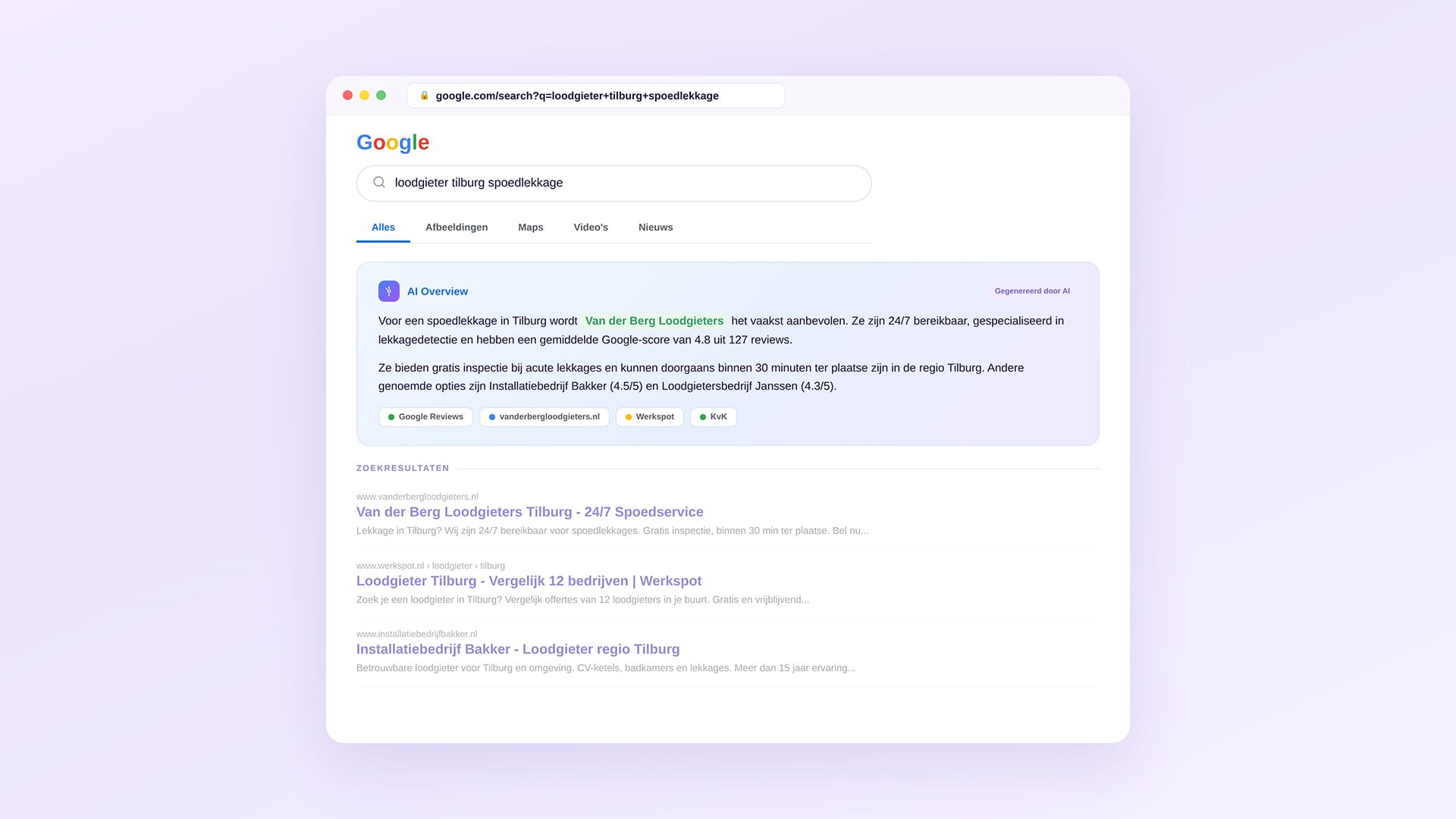 ai-vindbaarheid google overview